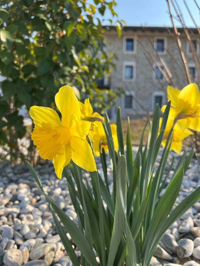 Atmosfere Charme & Country Hotel Borgo San Mauro Екстериор снимка